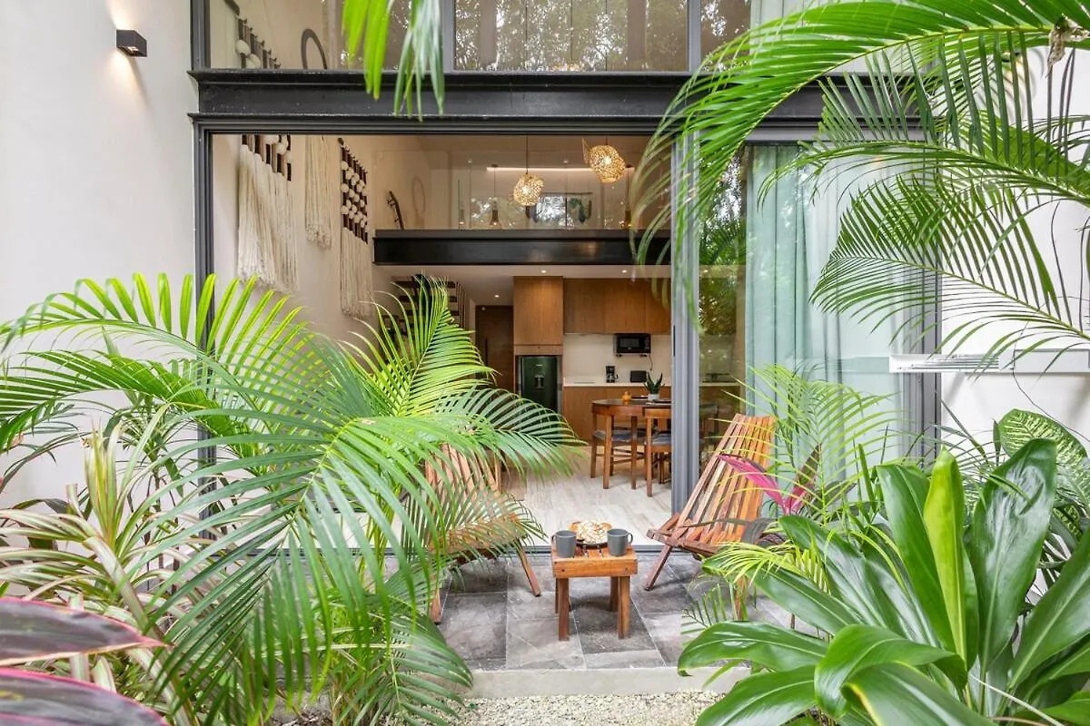 Luxurious Loft In Tulum 9 Minutes From The Beach Apartment
